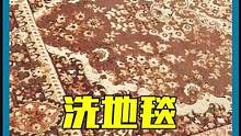 地毯褪色还有清洗的必要吗 洗完我才发现是蓝色的！  #解压  #洗地毯  #极度舒适 