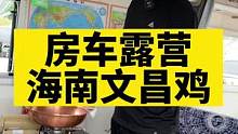 海南文昌鸡真的是太好吃啦！#记录真实生活 #房车生活 #露营美食 #户外露营 #好食材好味道