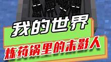 我的世界：末影人不怕炼药锅的水，但大海里的水对它很致命