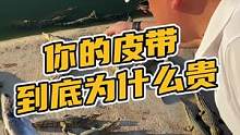 你的皮带到底为什么贵#鳄珍