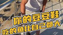 你的豆豆鞋吃的鱼比自己都大#鳄珍  