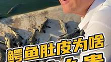 鳄鱼肚皮为啥这么贵#鳄珍