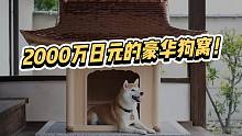 2000w日元的豪华狗窝，住进去的是什么狗生赢家？