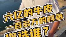 六亿的牛皮一百多万的鳄鱼您选谁#鳄珍