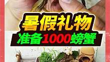 为粉丝准备了1000只暑假礼物，自己开箱检测一番，这暑假有的玩了 #家有爬宠 #宠物 #螃蟹