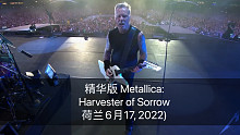 精华版 Metallica:最新现场官方高清Harvester of Sorrow (荷兰6月17,