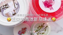 【史莱姆】迟来的青池新品速递