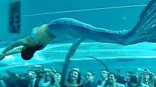 你见过传说中的美人鱼吗？第一视角带你去体验！#第一视角#水上滑梯 #搞笑 