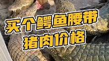 买个鳄鱼腰带，猪肉的价格#鳄珍