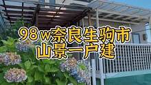 窗外的景色太治愈了，夏日在这样的景色下吹着空调吃着西瓜～#日本租房买房 #日本一户建 #日本vlog