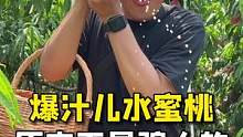 原来爆汁儿水蜜桃不是骗人的！