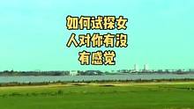 如何试探女生是否对你有感觉 #撩妹 #追女生 #脱单 #恋爱技巧