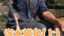 来叔夫妇合力舀干水坑，浑水摸鱼摸出一条鲨鱼，底下好货还真不少（上）#赶海寻宝团 