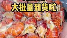 想吃高品质的龙虾尾，请认准赶海小章家哦#海鲜原产地#龙虾尾