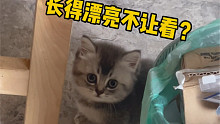 小猫咪是不能随便乱看的知道吗？
