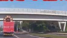 货车拉货超过高架桥限高，结果悲剧发生了 #交通安全 #行车记录仪