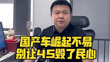 国产车崛起不易 别让4S毁了民心