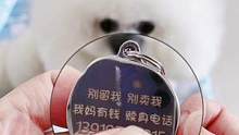 在抖音上刷到太多丢猫狗的视频，建议家长给毛孩带上这个防走失名牌吧，轻巧可爱又实用#比熊 #狗狗