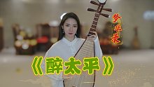 国家宝藏关大洲老师曲目《醉太平》——梦华录宋引章琵琶演奏片段