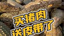 卖猪肉送皮带了#鳄珍 