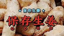 一块钱一堆的生姜，听说夏天吃很健康，不能浪费学学如何储藏 #生姜 #妙招 #节约