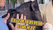自己养殖的鳄鱼，价格亲民#鳄珍
