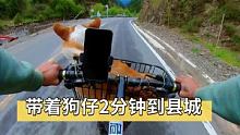 挑战带着狗仔2分钟到县城！ #户外运动 #骑行旅行风景 #带着狗狗去旅行