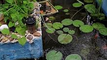 小荷才露尖尖角…… 