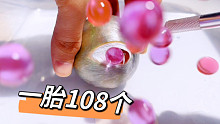 一胎108个福寿螺