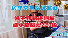 房车常年蜗居深山，好不容易进趟城还被只小猫碰瓷220块