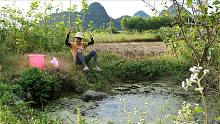 野钓：田间一个不起眼的小深坑真藏鱼，小明下竿不停中货，过瘾了