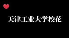 天津工业大学校花娜非沙