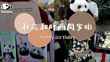 Vlog 和花和叶两周岁生日快乐！