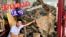 老乡花2万买回一块超大木头，造型独特香味扑鼻，大家看看值吗？