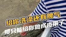 鳄鱼居然也有起床气，给他洗澡还发脾气，那只能给它做成皮带了。