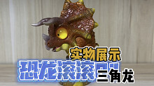 恐龙滚滚01弹：三角龙实物展示！