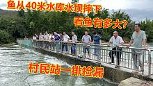 连续暴雨水库里的水位上涨，大鱼从40米水坝摔下，村民站一排抓鱼