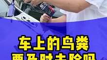 车上的鸟粪要及时去除么？#每天一个用车知识 #汽车养护 #汽车镀膜剂 #汽车小常识 