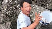 来叔到大片避浪石找货，底下海鲜一堆又一堆，抓不过来今天发了（下）#赶海寻宝团 