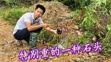 小伙深山捡红菇，意外在溪边发现名贵而稀少的石头，要100多一斤