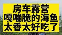 嘎蹦嘎脆的海鱼太香太好吃了#零食推荐 #房车生活 #好吃到停不下来 #吃货必备