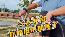 今天又给你的皮带加餐了#鳄珍 