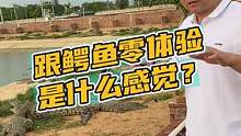 跟鳄鱼零体验是什么感觉？#鳄珍 