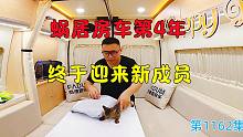 蜗居房车第四年终于迎来新成员，岛主网购多件礼品讨其欢心