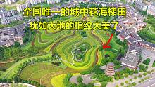 中国唯一的城中花海梯田，空中俯瞰犹如大地的指纹，真是太美了