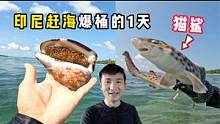 《印度尼西亚》第14天：和李哥PK赶海，徒手抓鲨鱼，扇贝随处可见！ #印度尼西亚 #真实赶海 #旅行