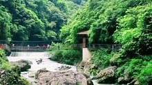寻得一份清静，守住一份安逸。#黔江 #清凉避暑好去处 #打卡景点 
