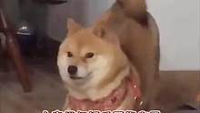 #范丞丞  真的对收购乐华有执念啊