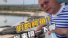 假的鳄鱼？你来摸一下呗#鳄珍
