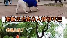 在公园里路人连追带拍是惊讶不已#白菜玩滑板 #法国斗牛犬 #狗狗玩滑板